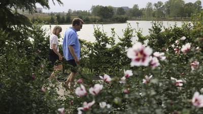 Along a path less traveled at the Chicago Botanic Garden, plants are being evaluated on beauty and brawn