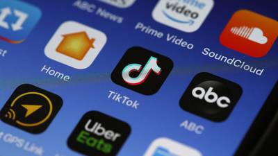 ‘TikTok seems too good to be true.’ Internet experts say there are reasons for users to worry.