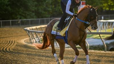 Twinspires offer code CTRACING unlocks $400 sign-up bonus for the 2023 Preakness